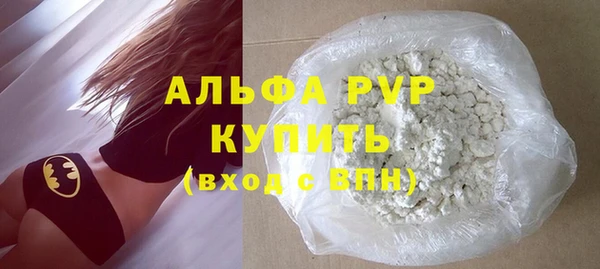 индика Бронницы
