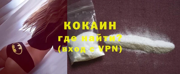 индика Бронницы