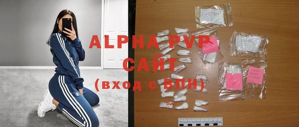 индика Бронницы