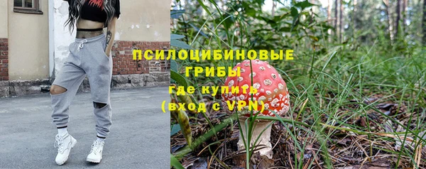 марки nbome Бородино