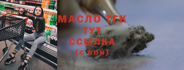 индика Бронницы