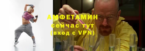 индика Бронницы