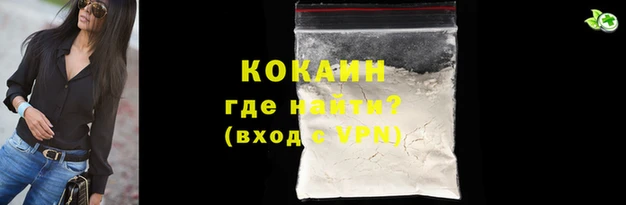 индика Бронницы