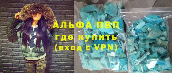 индика Бронницы