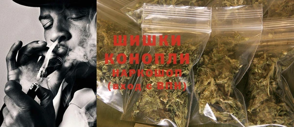 индика Бронницы