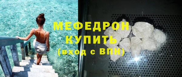 индика Бронницы