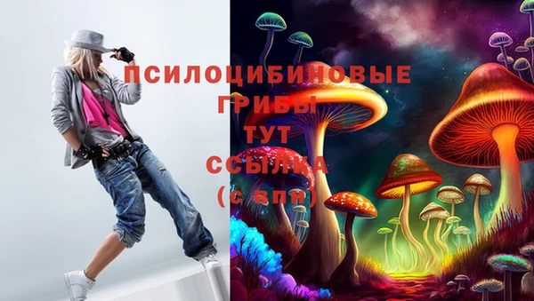 марки nbome Бородино
