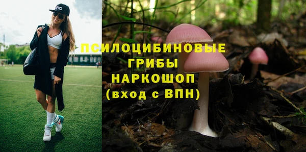 марки nbome Бородино