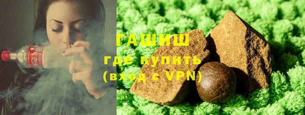 индика Бронницы