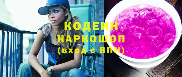 индика Бронницы