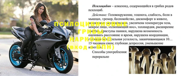марки nbome Бородино