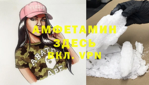 индика Бронницы