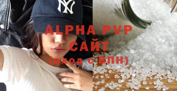индика Бронницы