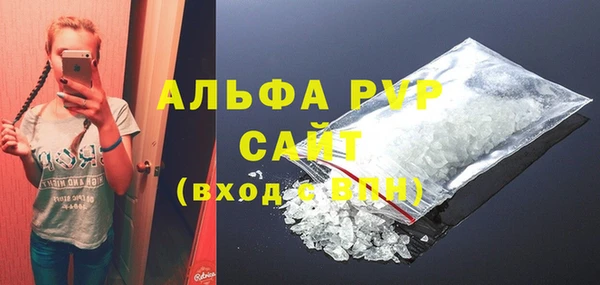 индика Бронницы