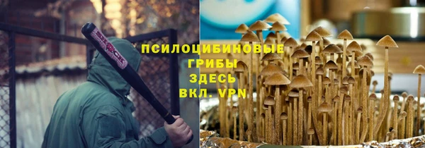 марки nbome Бородино